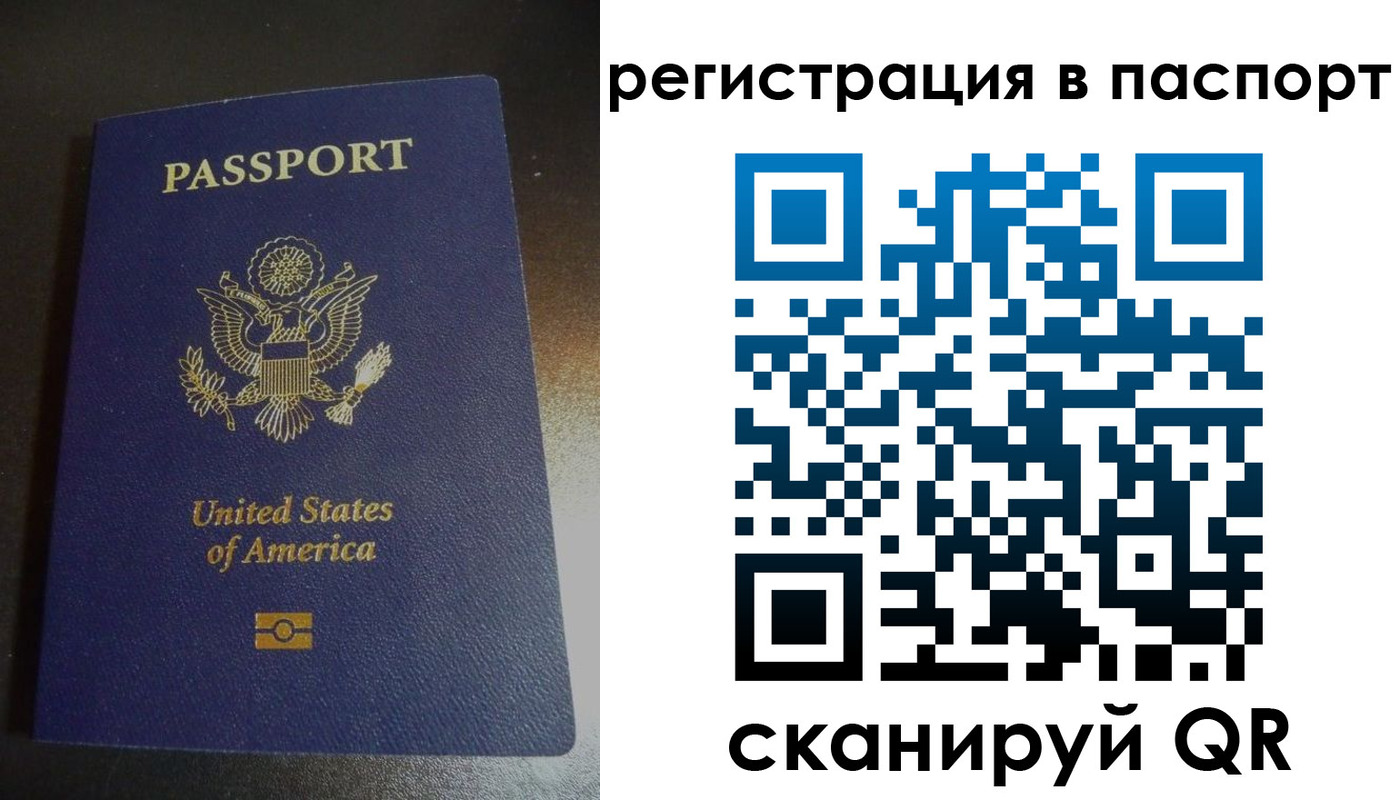 прописка для школы в Белой Холунице